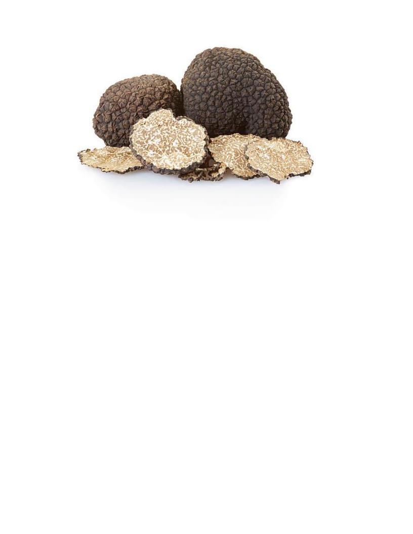 TARTUFO